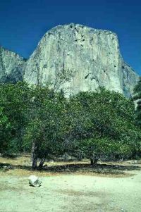 gal/Photographs/USA 2000/_thb_yosemite1.jpg